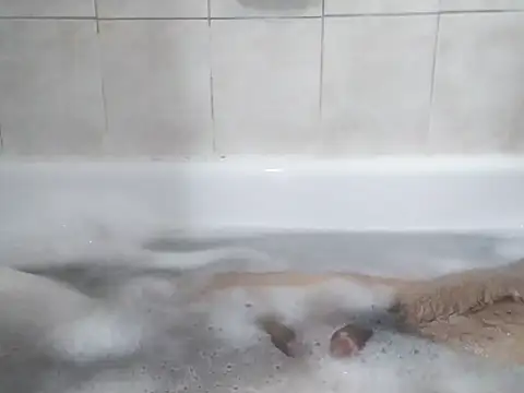 Snapshot of 69LanceRomance69 chatting on 27, 2, 2026 69LanceRomance69 online show from 27, 2, 2026