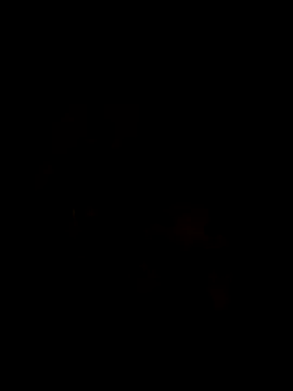 Ory22 online show from 1, 11, 2025