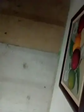 Alonsomadeira online show from 2, 4, 2026