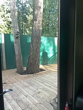 Snapshot of twist699 chatting on 8, 11, 2025 twist699 online show from 8, 11, 2025