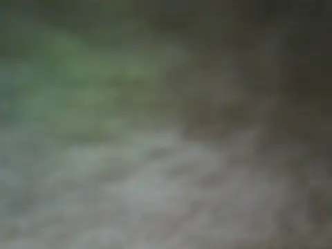 ShivamFactor3 online show from 28, 11, 2025