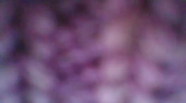 mia cooper 24 online show from 30, 12, 2024