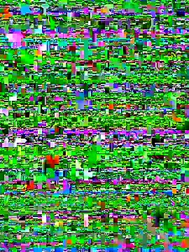 bad-boy-2002 online show from 5, 10, 2025