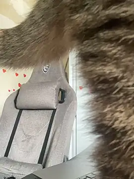 GraceTorrez online show from 21, 3, 2025