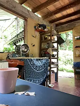 sammoura01 online show from 4, 4, 2026