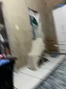 Snapshot of HenriqueH3 chatting on 2, 3, 2026 HenriqueH3 online show from 2, 3, 2026