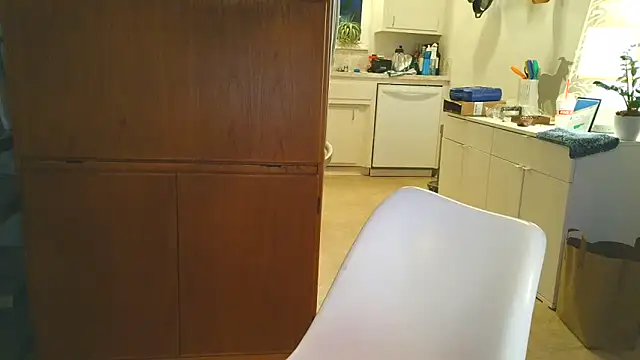 costanza7070 online show from 2, 3, 2026