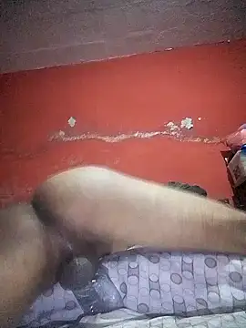 VL25DN26 online show from 22, 12, 2024