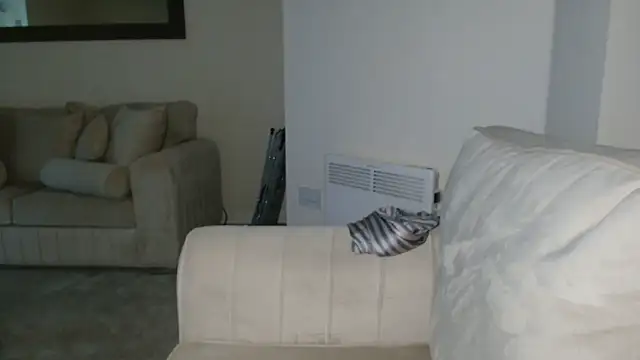 Snapshot of UKSYDNEYFOX chatting on 1, 12, 2024 UKSYDNEYFOX online show from 1, 12, 2024