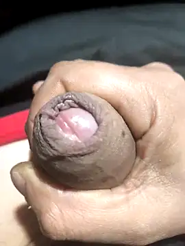 franko1987 online show from 15, 4, 2026