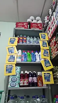 Magica lorena online show from 9, 4, 2026