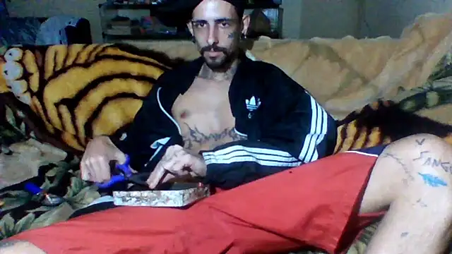 sellvageria online show from 2, 11, 2025