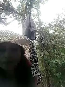 andreu mature online show from 5, 3, 2025