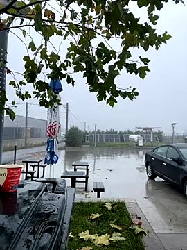 baramadalin online show from 21, 11, 2025