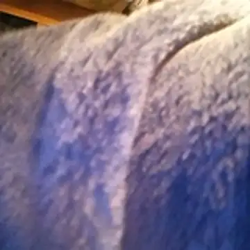 amarrabrown2024 online show from 15, 10, 2025