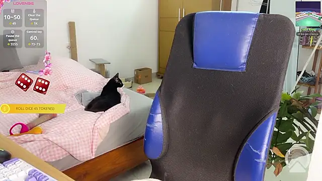 ashy 7999 online show from 14, 3, 2026