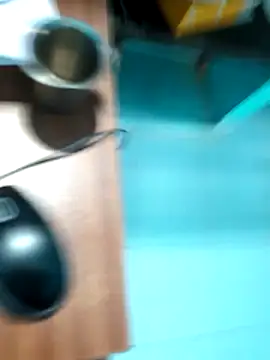 rajesh31tamil online show from 4, 1, 2025