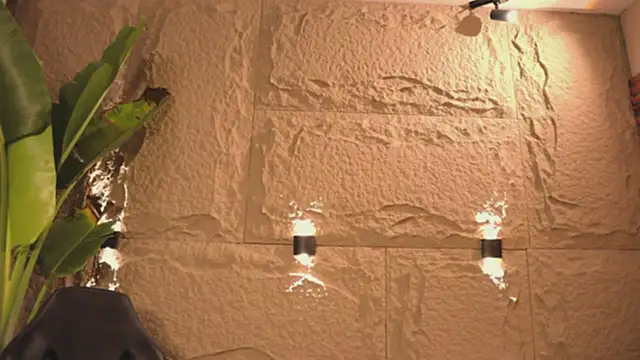 Logan Varela online show from 14, 3, 2025