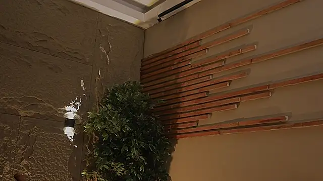 Logan Varela online show from 1, 11, 2025