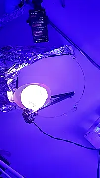 gurlnips online show from 26, 9, 2025