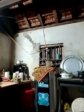 Hotpussy3ox online show from 2, 3, 2026