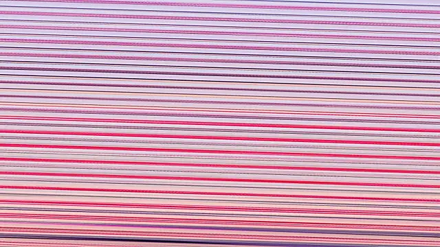 Annieefoxx online show from 7, 11, 2025