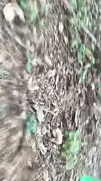 lustboyX online show from 5, 4, 2026