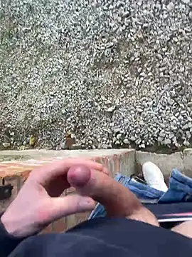 Snapshot of Nicky-98 chatting on 26, 12, 2024 Nicky-98 online show from 26, 12, 2024