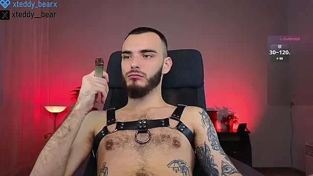 Snapshot of xteddy_bear chatting on 20, 1, 2025 xteddy bear online show from 20, 1, 2025