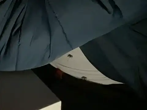 Snapshot of tomazu11 chatting on 26, 10, 2025 tomazu11 online show from 26, 10, 2025