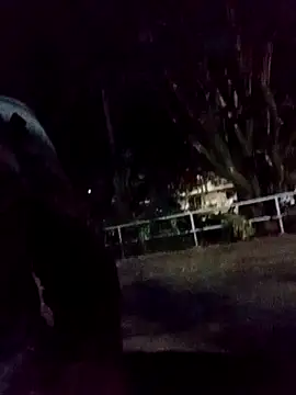 mis312 online show from 9, 9, 2025