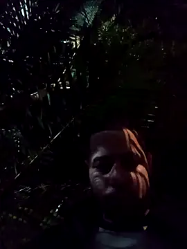 mis312 online show from 19, 4, 2026