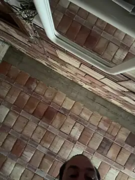 ros217 online show from 18, 3, 2026