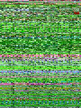 Bella babei01 online show from 11, 1, 2026