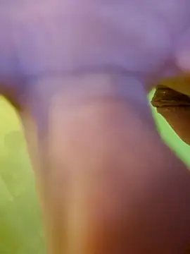 jorwee online show from 15, 1, 2025