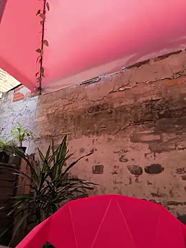 Fun Everywhere online show from 16, 4, 2026