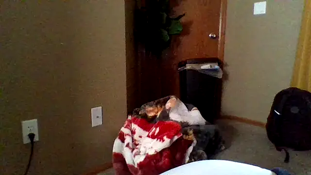 mikeystrong online show from 17, 3, 2025