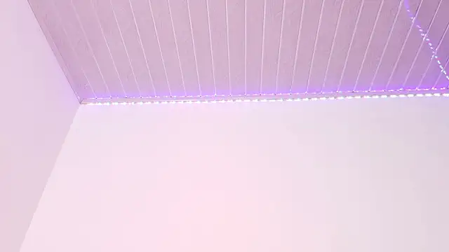 Meganbarko1 online show from 5, 1, 2026