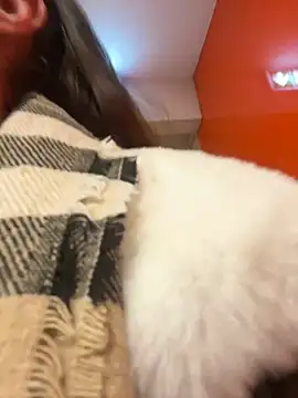 beautydiamond online show from 20, 1, 2025