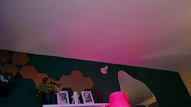 evy orange1 online show from 16, 4, 2026