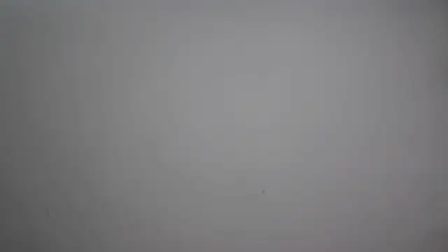 Cute-Tanya online show from 10, 2, 2026