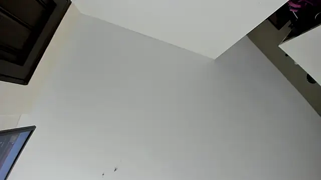 evely coelloo online show from 7, 11, 2025