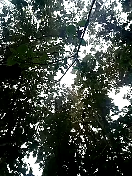 Fucker boy 1 online show from 19, 1, 2025