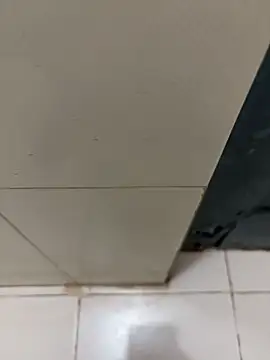 nangakings online show from 17, 12, 2025