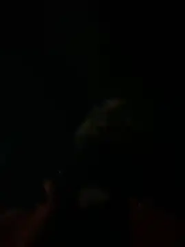 Rastamanzigy22 online show from 12, 2, 2026