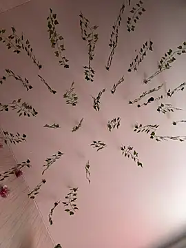 Snapshot of -Sexy_Barbie- chatting on 25, 2, 2025 -Sexy Barbie- online show from 25, 2, 2025