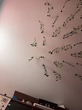 Snapshot of -Sexy_Barbie- chatting on 26, 2, 2025 -Sexy Barbie- online show from 26, 2, 2025