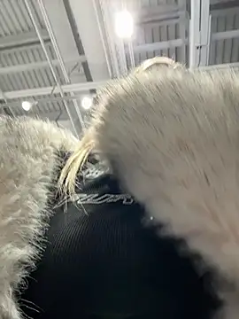 Snapshot of -Sexy_Barbie- chatting on 5, 3, 2025 -Sexy Barbie- online show from 5, 3, 2025