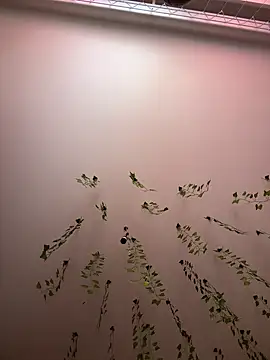 Snapshot of -Sexy_Barbie- chatting on 11, 3, 2025 -Sexy Barbie- online show from 11, 3, 2025