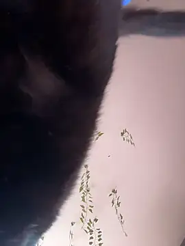 Snapshot of -Sexy_Barbie- chatting on 11, 10, 2025 -Sexy Barbie- online show from 11, 10, 2025